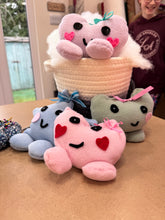 Load image into Gallery viewer, Palm Pals Sewing Workshop