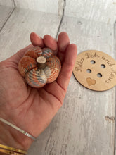 Load image into Gallery viewer, Mini Pumpkins Set of 3