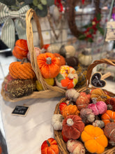Load image into Gallery viewer, ADULT Pumpkin Sewing Workshop
