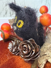 Load image into Gallery viewer, ADULT &#39;Lucky Black Cat Pumpkin&#39;  Sewing and Needle Felting Workshop
